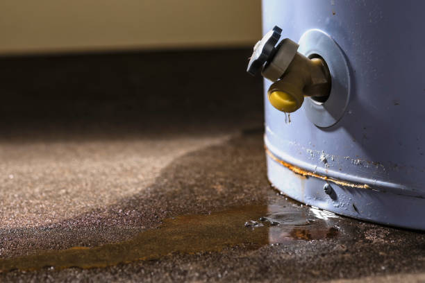 Best Water damage restoration process  in Texarkana, TX