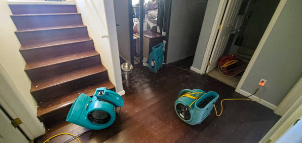 Best Basement water damage restoration  in Texarkana, TX