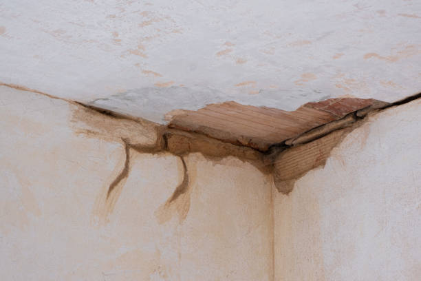 Best Water damage restoration near me  in Texarkana, TX