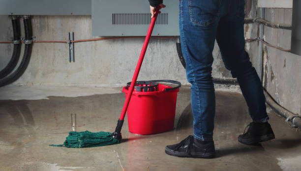 Best Mold removal after water damage  in Texarkana, TX