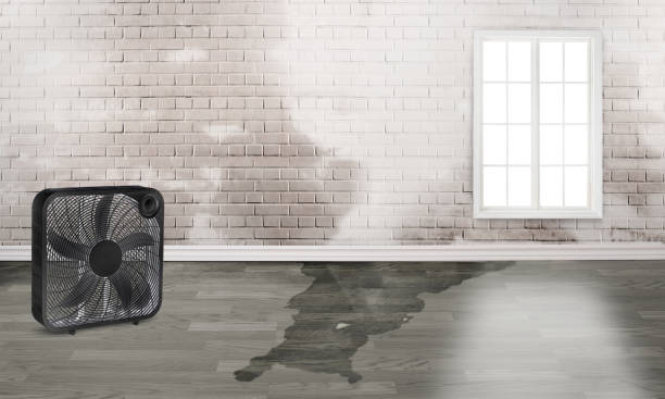 Best Sewage cleanup and water damage restoration  in Texarkana, TX