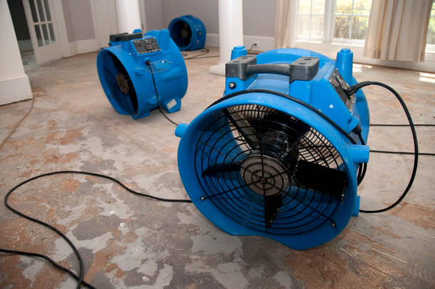 Best Water damage cleanup near me  in Texarkana, TX