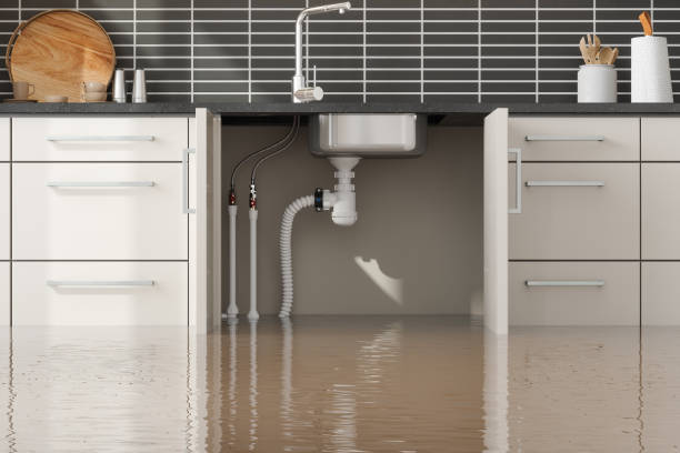 Best Sewage cleanup and water damage restoration  in Texarkana, TX