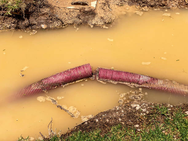 Best Flood damage cleanup  in Texarkana, TX